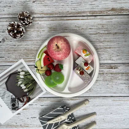 Biodegradable compartment plates disposable bagasse plates