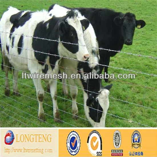 Trade Assurance hot sale galvanized cattle fence / bull bar network