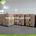 Factory Supply Fruits Super Food Offer Goji Berry