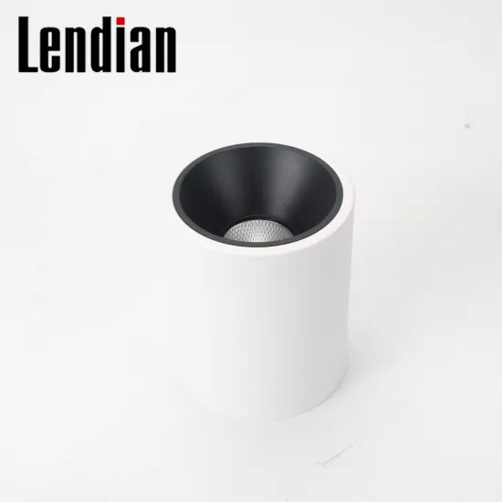 Adjustable Black White COB Downlight IP44/IP65 15W-40W Surface Mounted