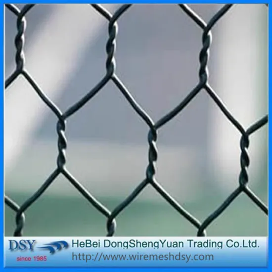 PVC 3/4" Hexagonal Wire Mesh Using in Farm