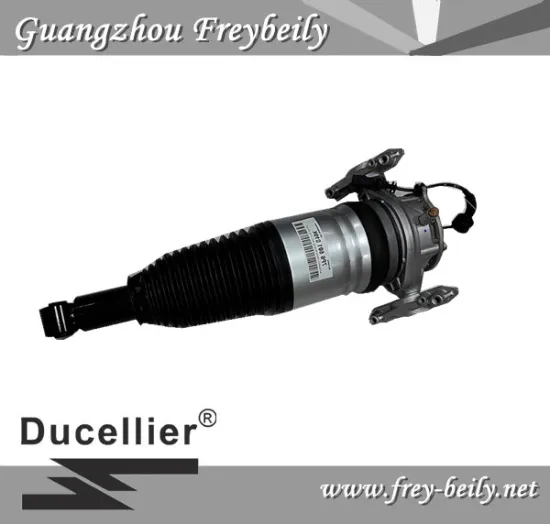 7L6 616 019K/ 7L6 616 020K Left Rear/ Right Rear Air Suspension Shock for Volkswagen Tourage, Porsche Cayenne