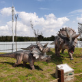 Animatronic Triceratops Jurassic Park