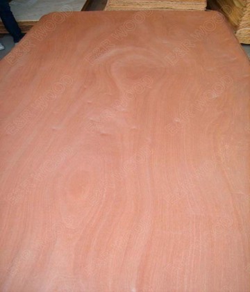 Rotary cut  Sapale Veneer