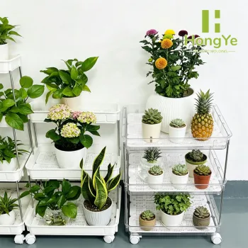 Transparent Rolling Plant Stand Drainage Trays