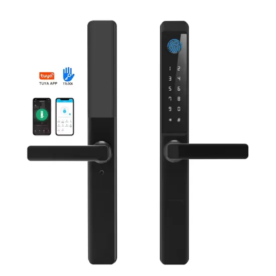 Broken Bridge Aluminum Tuya Handle Smart Doors Lock