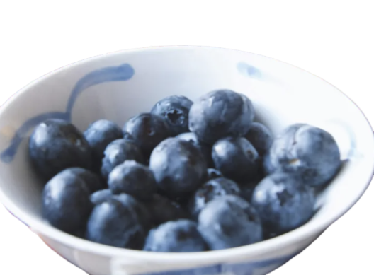 Vitamin B12 Manufacturer