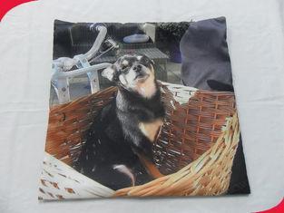 180 gsm Eco - friendly Decorative Brushed Polyester Persona