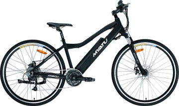 Adult City / Road Electric Bicycle for Sale