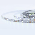 Specail Yellow green color 60led strip lights