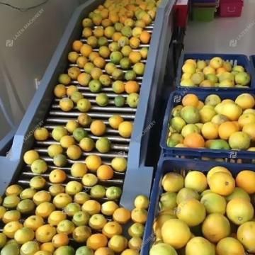 Orange Citrus NFC Juice Production Line Fruit Extractor Machine