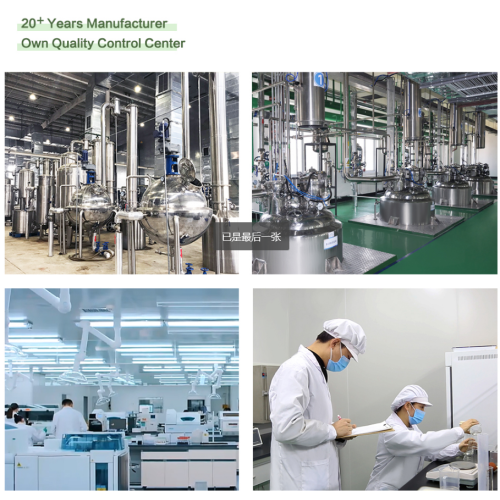 Екстракт високе квалитете Рходиола Росеа