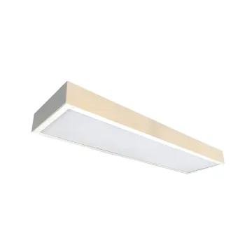40W 600x600 Surface LED Panel Light - Square LED Ceiling Light for Hotels