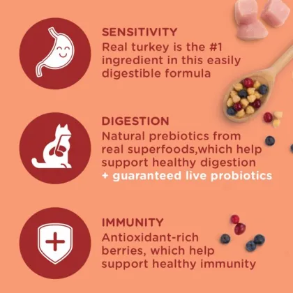 Rachael Ray Nutrish Chickpeas Flavor Dry Cat Food