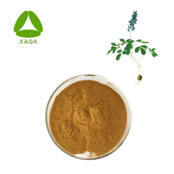 Antipyretic Rhizoma Corydalis Yanhusuo Extract Powder