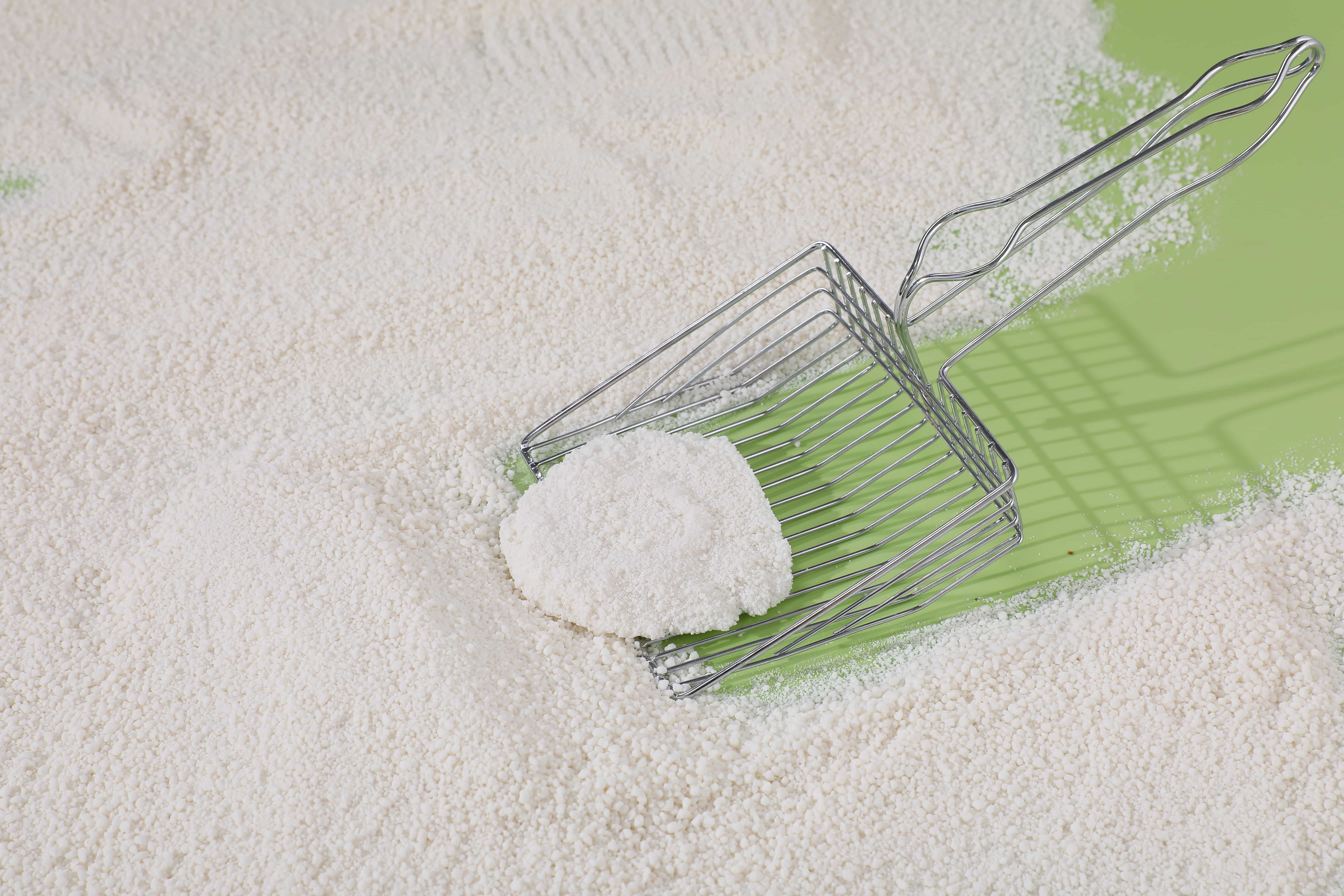 cat litter