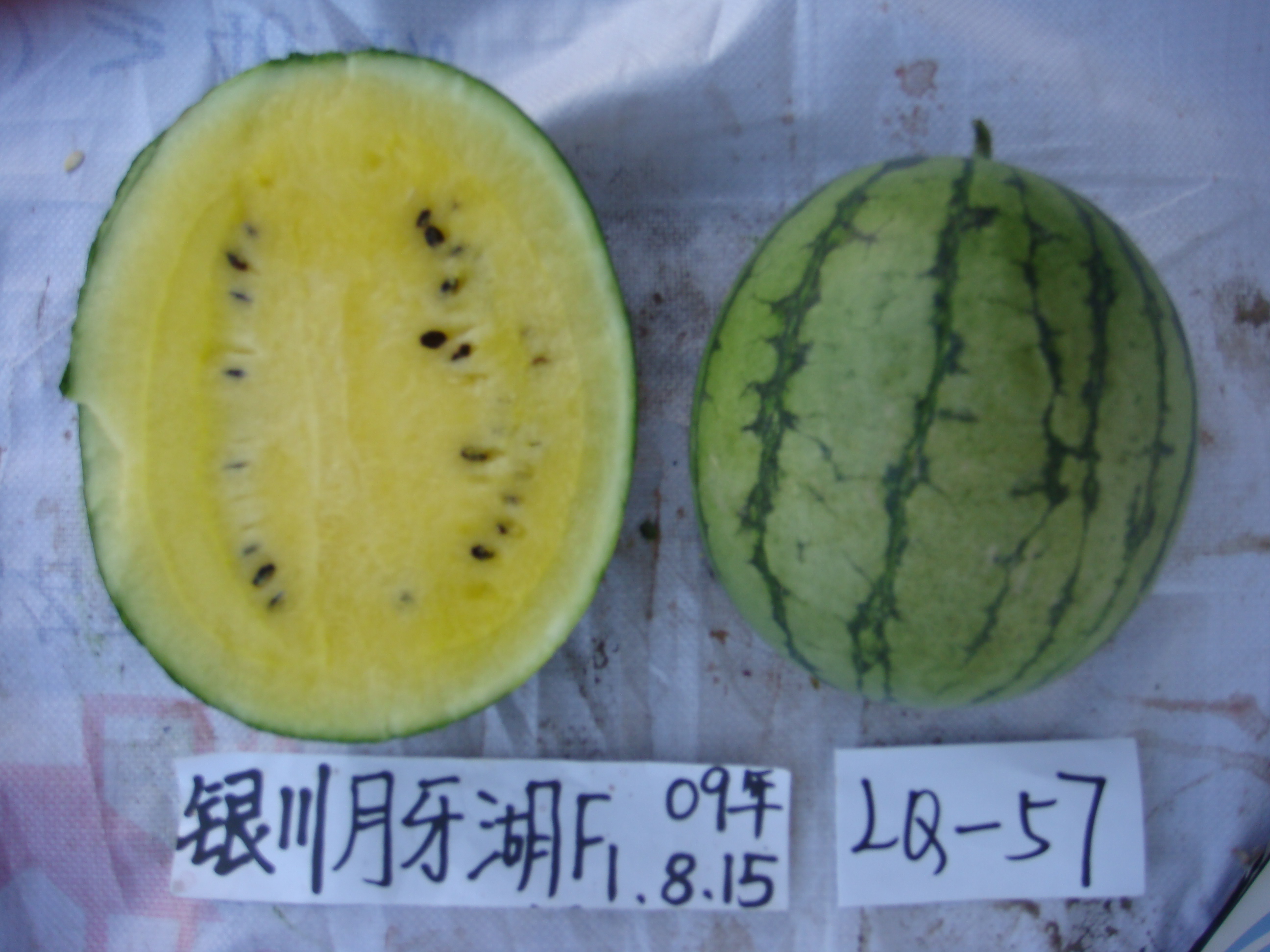 Yellow Flesh Watermelon Seeds for Planting