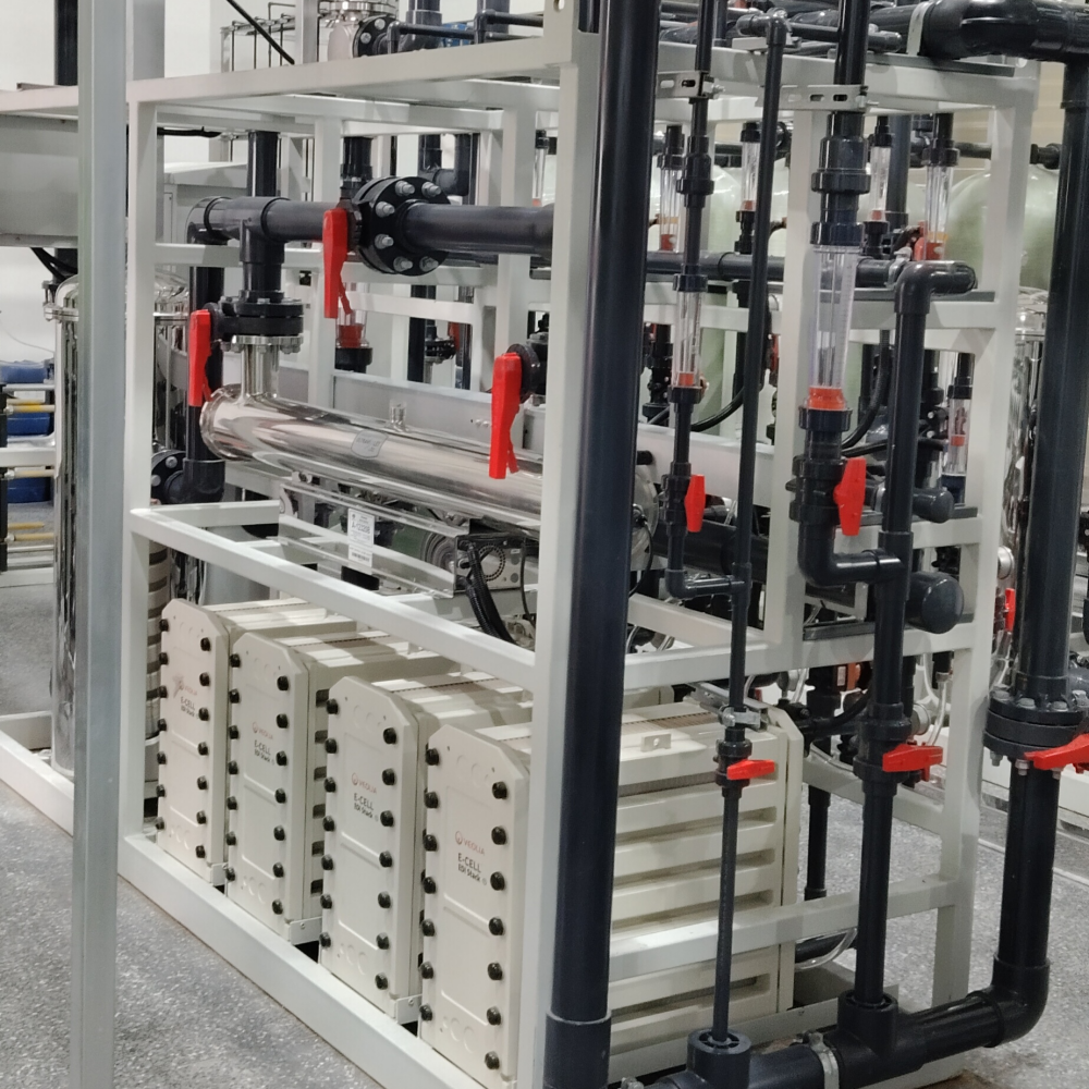 Ultrapure Water System