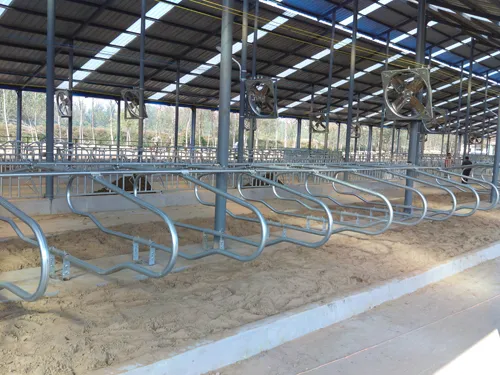 light Cheap steel structure cowshed with low cost