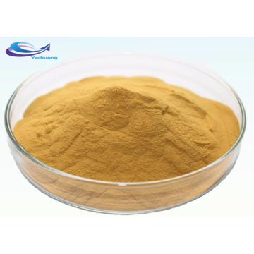 Organic Bamboo Extract Bamboo Leaf Extract Powder