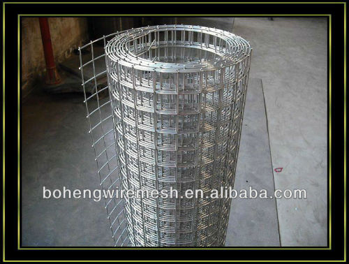 welded wire mesh anping boheng (directe factory)