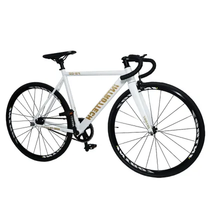 Fixed Gear Bikes Colorful 700C Bicycle