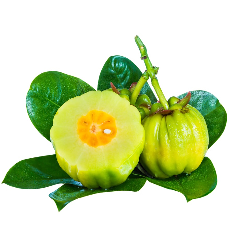 Garcinia Cambogia Extract