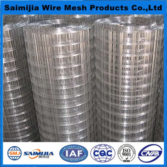 2x2 galvanized welded wire mesh