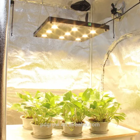 High Quality Led Light Fixtures COB Led Grow Light for Microgreens
/
