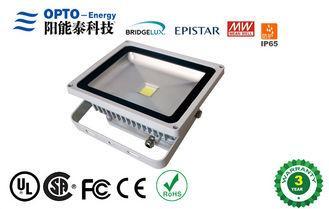 Aluminum 50W COB Outdoor Led Flood Lights Replacement AC110