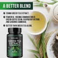 Herbal Weight Loss Slim Green Tea Capsules