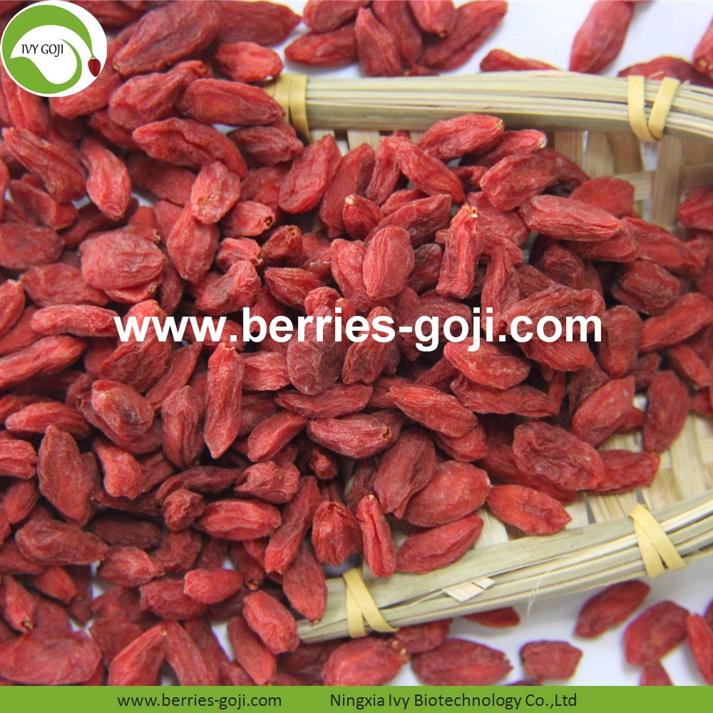 goji berry