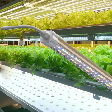 OEM ODM Led Grow Light