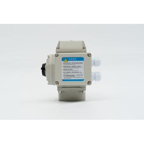 Electric Actuator 220v 380v Electric actuator Supplier