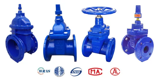 BS5163 Resilient Seated Gate Valve