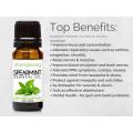 Wholesale Natural Spearmint Essential Oil