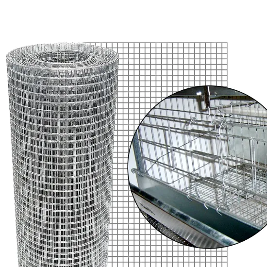 Low Carbon Steel 3-Layer Chicken/Bird Cage with 5 Nests - Competitive Price from Factory