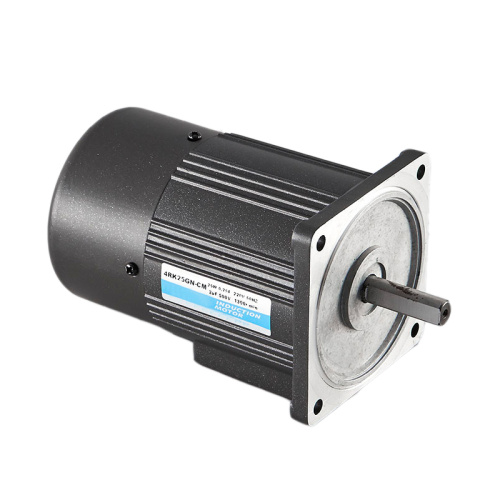 single phase 40w ac brake motor for Robot