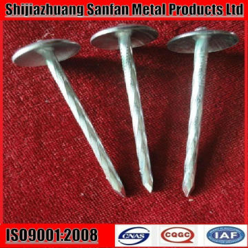 ring shank zinc galvanized roofing nails