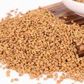 Fenugreek Seed Extract Powder For Penis Enlarge