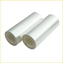 공동 배출 된 OCA 릴리스 필름