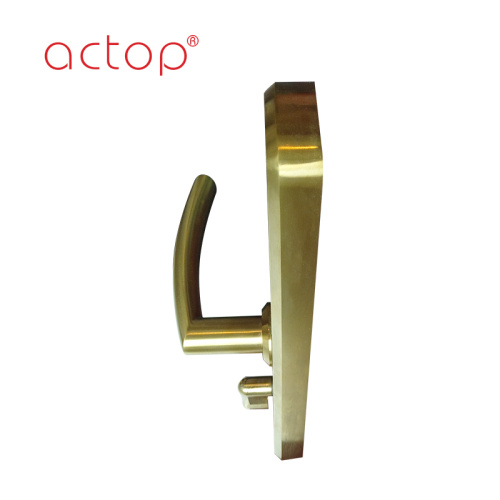 Stainless Steel Digital Door Lock