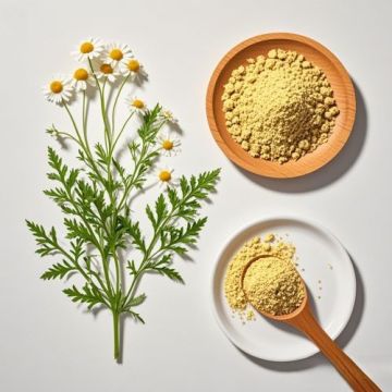Matricaria Chamomilla Extract for Calming Irritated Skin