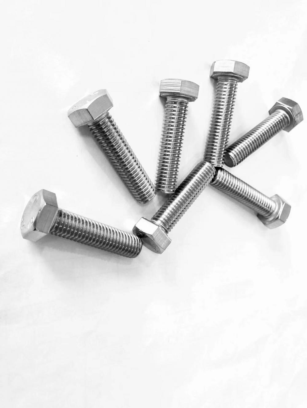 Metric SS304 Hex Head Bolt