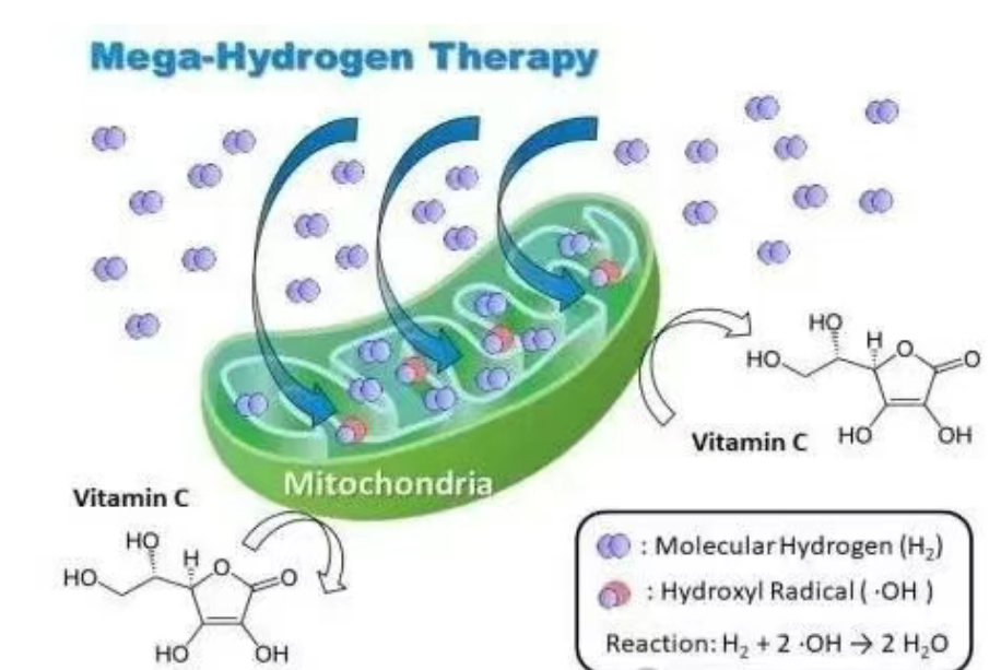 anti-oxidant