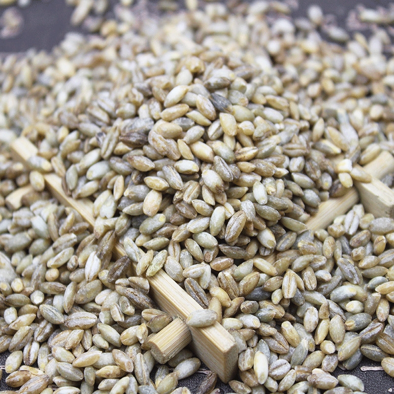 Sugar free highland barley