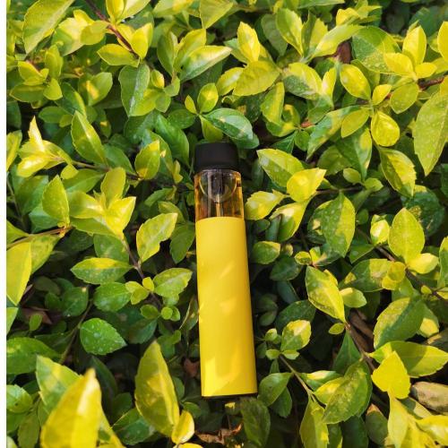 7.5ml 2500puffs Pen Disposable E Cigarette Vape Shisha