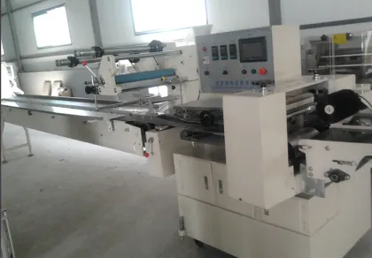 Pillow Double-servo High Speed Packaging Machine