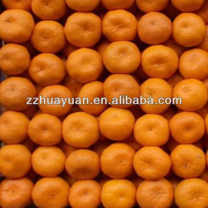 China Nanfeng Oranges