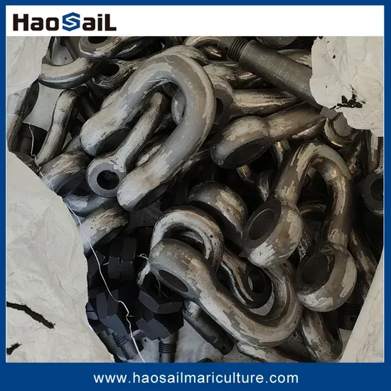 Corrosion-Resistant High-Fatigue LTM D-Type Mooring Shackle for Marine Hardware Connection